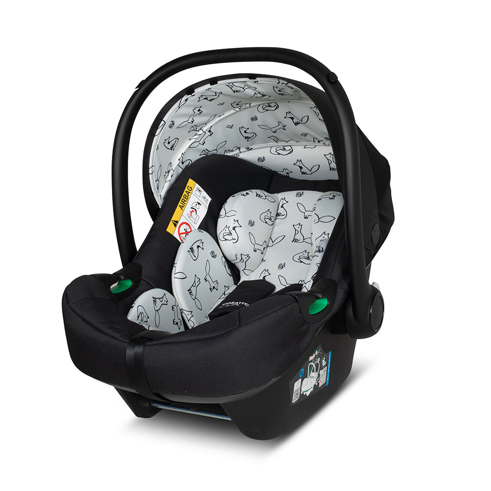 Giggle 4 Pack Completo multi etapa - Foxed