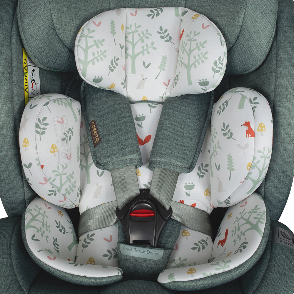 Pack Familiar Giratoria Acorn i-Size - Meadow