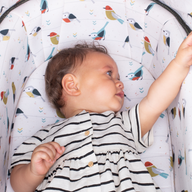 Giggle 3 en 1 i-Size - Birdland