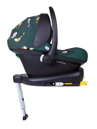 Pack completo Giggle Trail - Birdland