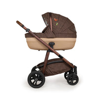Pack completo Wow Continental - Foxford Hall
