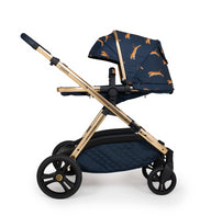 Pack Wow XL con Accesorios - On The Prowl