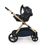Pack completo Wow XL - On The Prowl