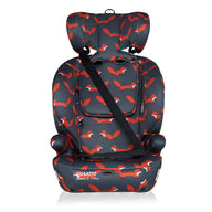 Zoomi 2 i-Size - Charcoal Mister Fox