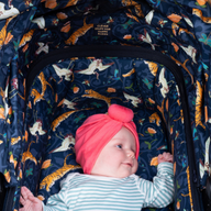 Pack Wow Continental con Accesorios - On the Prowl