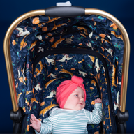 Pack completo Wow 2 - On the Prowl